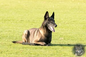 46777699 2322710944425703 5143318436125868032 o