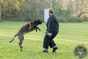 46787310 2322710837759047 4967878114530033664 o