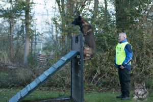 46800565 2322710714425726 6131521322091544576 o