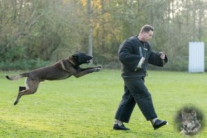 46827445 2322710981092366 8948566860886966272 o