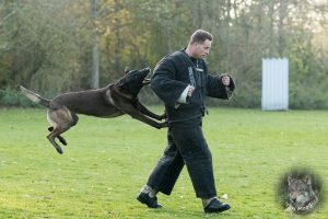 46831274 2322710627759068 6091599738514178048 o