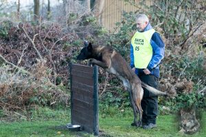 46997091 2322710764425721 1801556089943097344 o