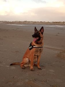 47391642 2254321428225192 4274538060718276608 n