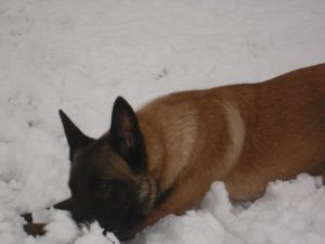 480372 228939297239052 1736466475 n