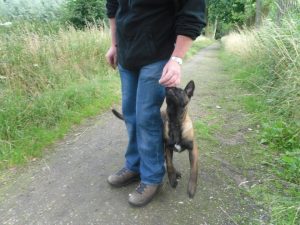 480818 176445909155058 589201722 n