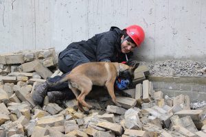 481793 515649431815687 1163472865 n