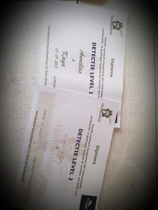 48264357 2024658647617040 4873650268677341184 n