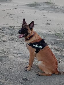 48283447 2254321541558514 5103605016728436736 n