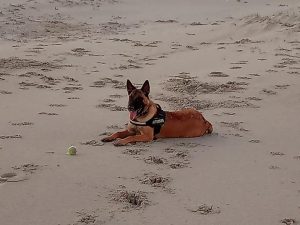 48375417 2254321664891835 4410674389264105472 n