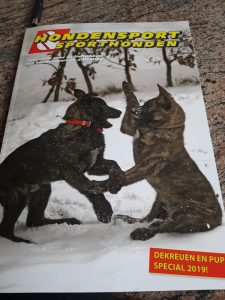 48420653 1854410488003412 2224713477878972416 n