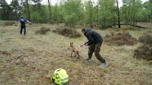 486697 513848445329119 1104400077 n - kopie