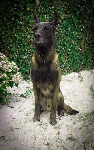 49338691 10216730025635687 9165792996614995968 n