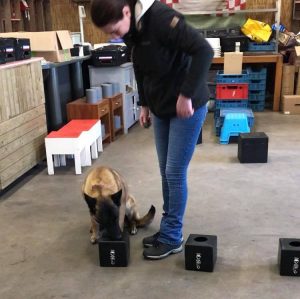 50297032 316199595668859 5504528930930950144 n