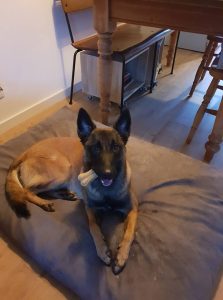 50343494 10217888199541178 8667079329986904064 n