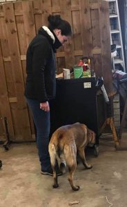 50485355 316199982335487 2683371472050716672 n