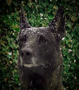 50539588 10216730025395681 4261252425496657920 n