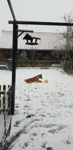 50620490 758148594586059 4924289754163314688 n