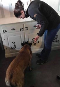 50684009 316200132335472 7881272607431983104 n