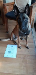 50692546 1733886330089230 9022479099112718336 n