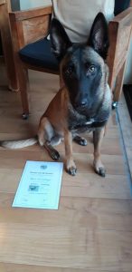 51082915 1734556723355524 5797352607102009344 n