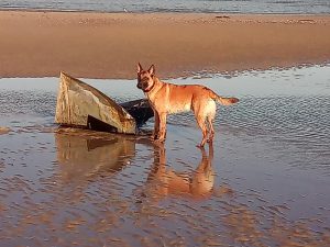 51163553 2298474870476514 3491623131053817856 n