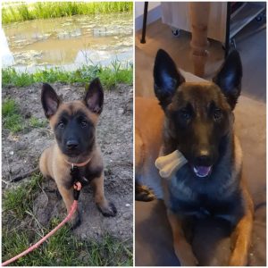 51548677 327241641244299 6023021506072674304 n