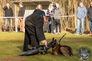 51947671 2222165854488574 8378272199856881664 o 1