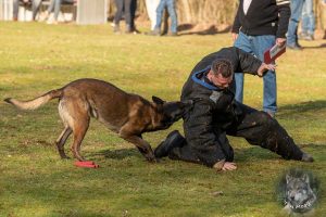 52170544 2222166971155129 5539338043137196032 o