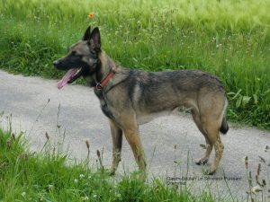 522168 448077975222352 517909107 n Qasim