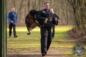 52276832 2222165711155255 3945787880764342272 o