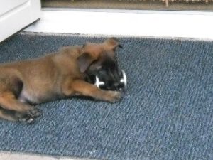 522976 143480552451594 100003689510810 169136 1604823795 n