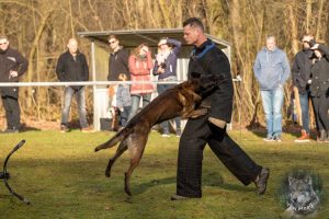 52323627 2222165951155231 2097299596551127040 o