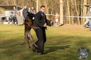 52348571 2222167311155095 3686714006065643520 o