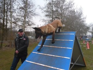 523491 287735851359396 307913011 n