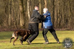 52350444 2222166631155163 2688598198141845504 o