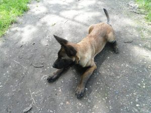 524260 176445505821765 38502476 n