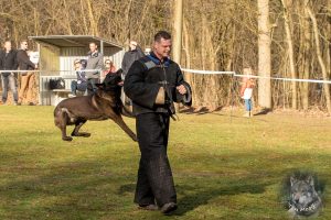 52426190 2222167284488431 507713542963593216 o