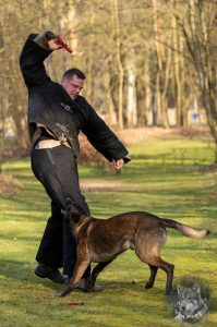 52673037 2222165531155273 3299928402647056384 n