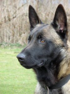 531785 296891803777134 1489012027 n