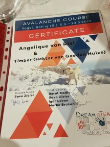 53317851 2051904048257157 5705755140955308032 n