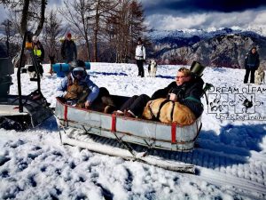 53362494 2051022365011992 8838298553429262336 n