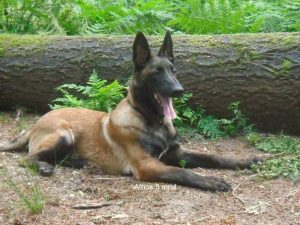 534347 192446944221621 958767887 n