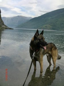 544583 10151993320244467 1489488711 n