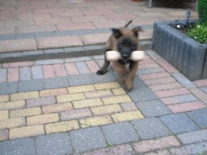 546318 147414998724816 100003689510810 180934 1859792142 n