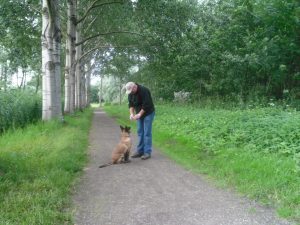 547757 176445319155117 460541713 n