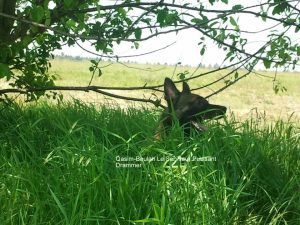 556673 10150964716799467 1465728085 nDrammer 24 mei 2011