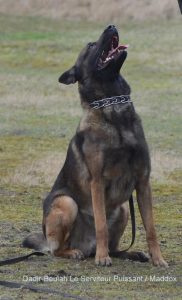 558389 112929418886003 1425021440 n qadir-001