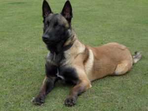 559048 296892047110443 453927265 n