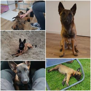 56652970 10218504475747698 1088180980063141888 n