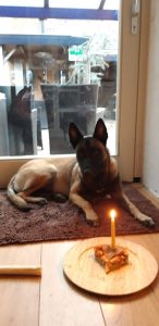 56870088 1797086187102577 8243290908276031488 n